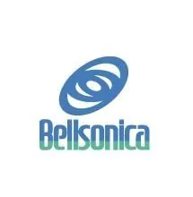 bellsonica-auto-component-manesar-gurgaon-metal-sheet-component-manufacturers-2pgyn22-250